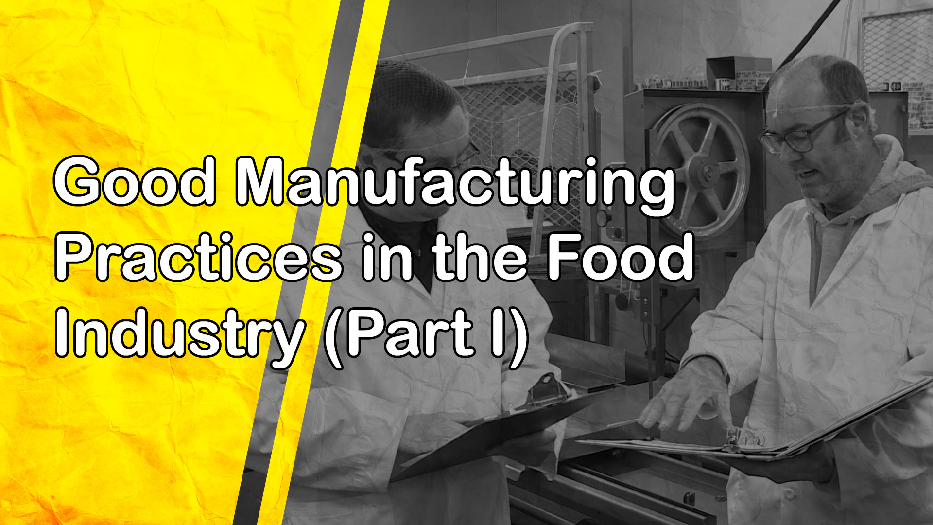 Good Manufacturing Practices in the Food Industry (Part I)
