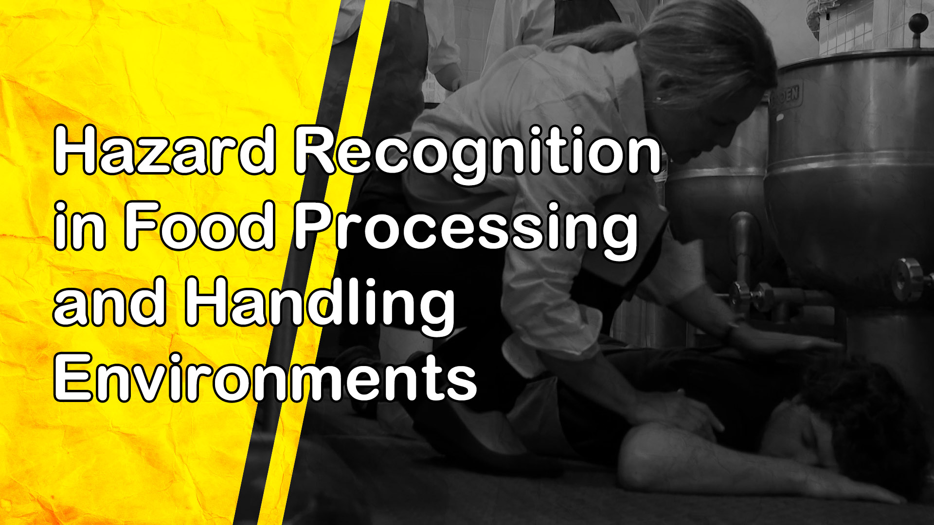 Hazard Recognition in Food Processing and Handling Environments