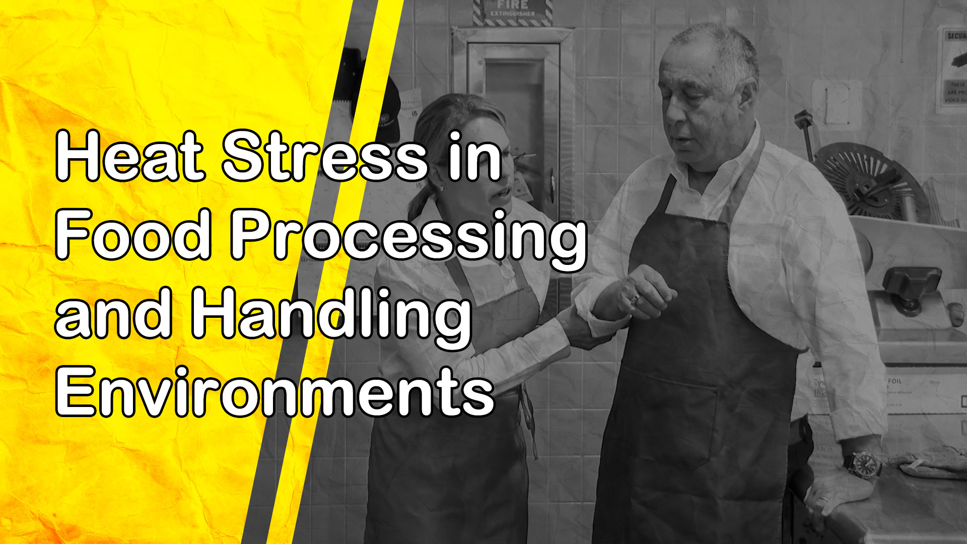 Heat Stress in Food Processing and Handling Environments
