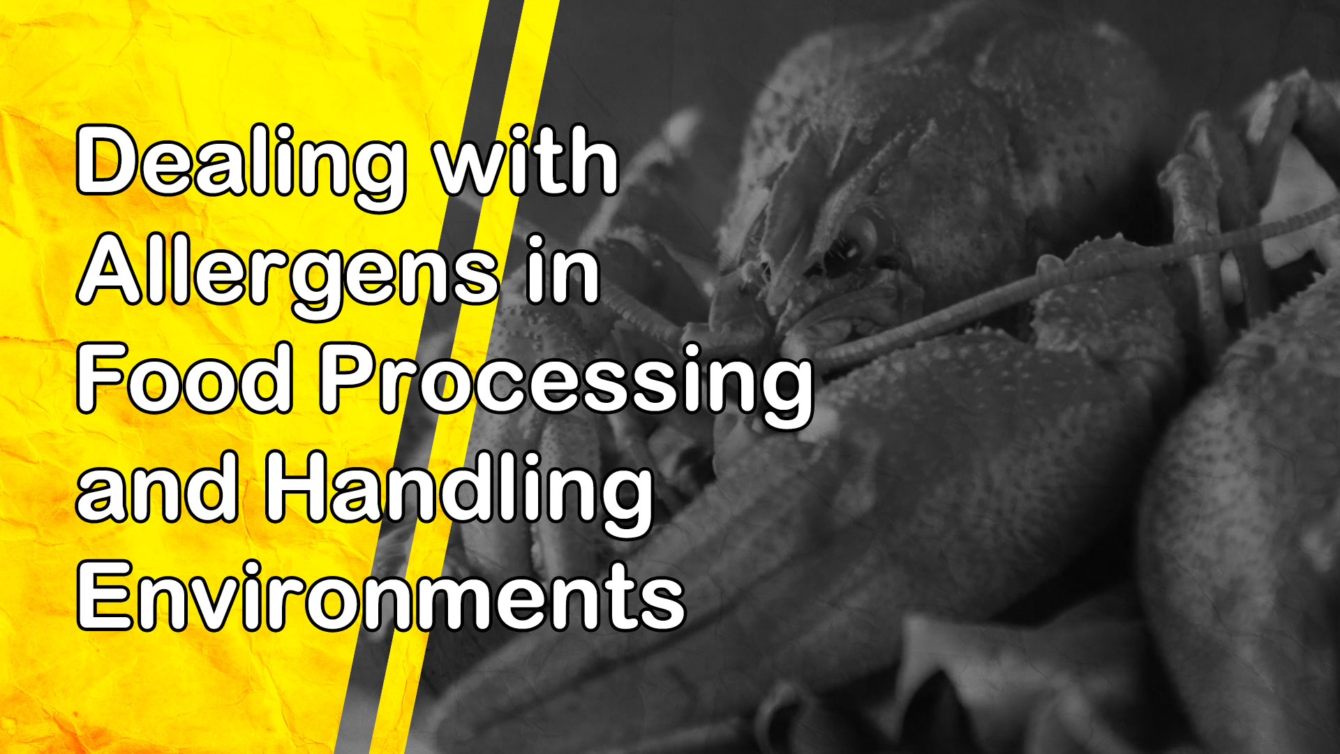Dealing with Allergens in Food Processing and Handling Environments