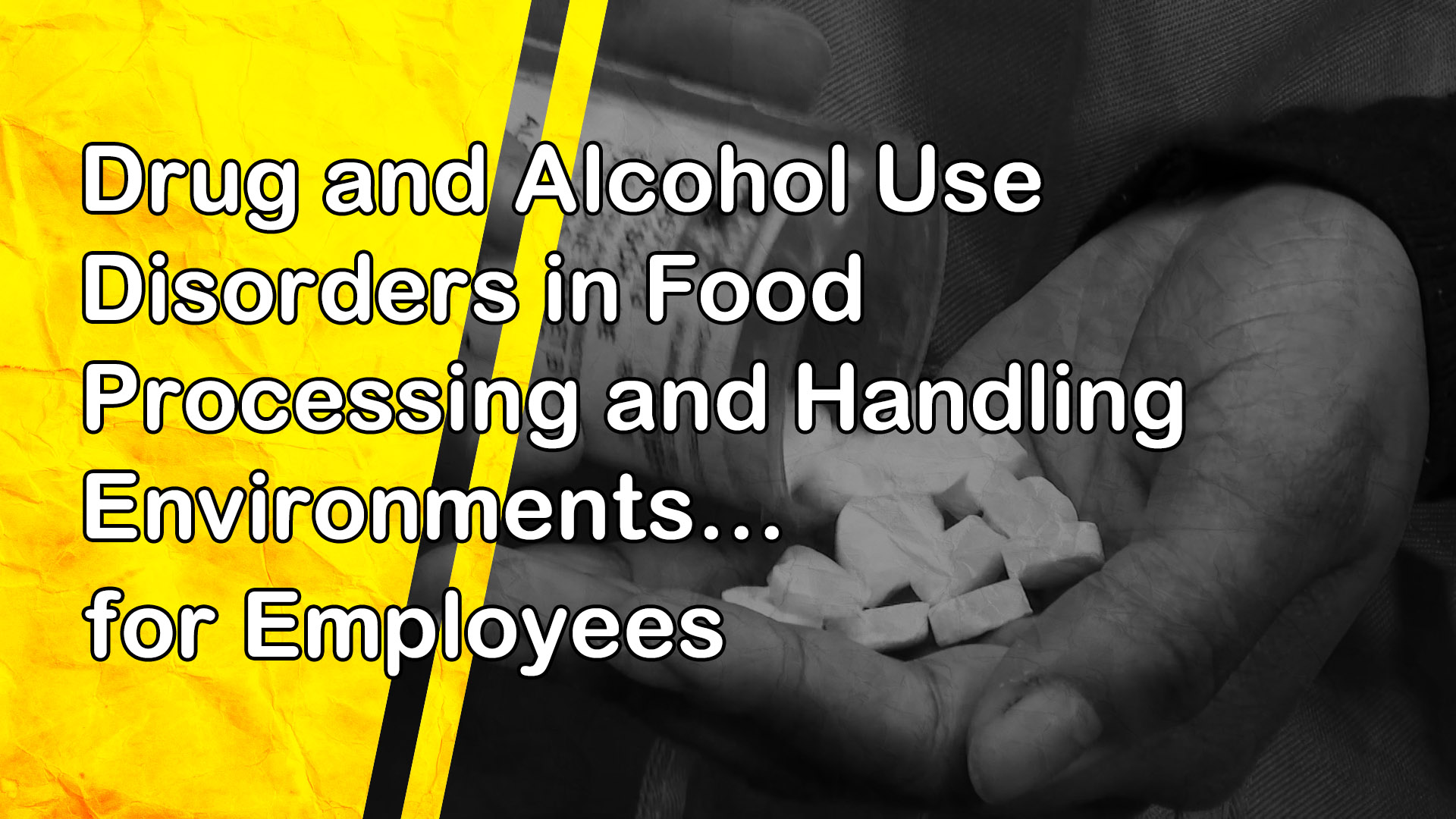 Drug and Alcohol Use Disorders in Food Processing and Handling Environments: for Employees