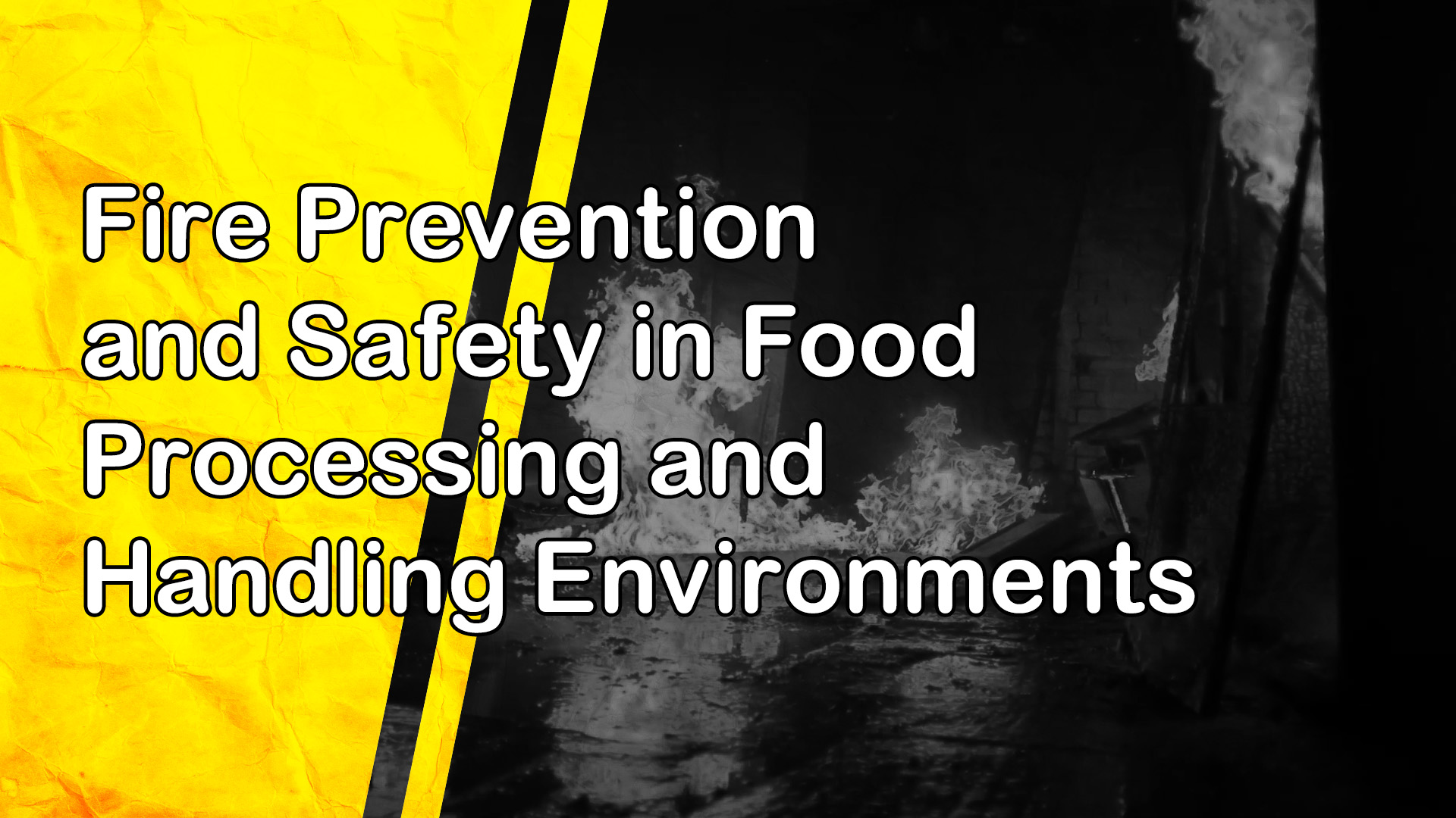 Fire Prevention and Safety in Food Processing and Handling Environments