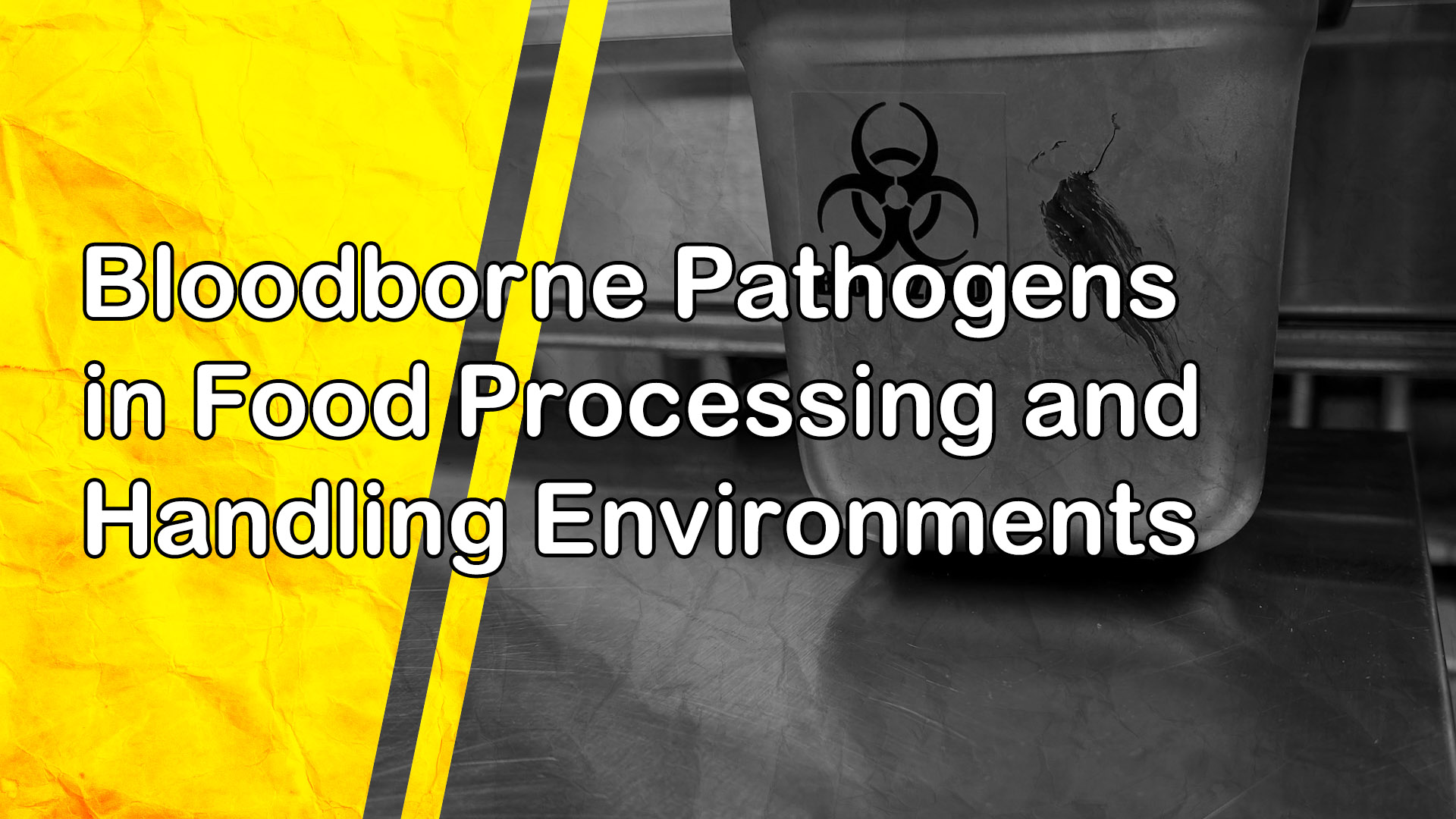 Bloodborne Pathogens in Food Processing and Handling Environments