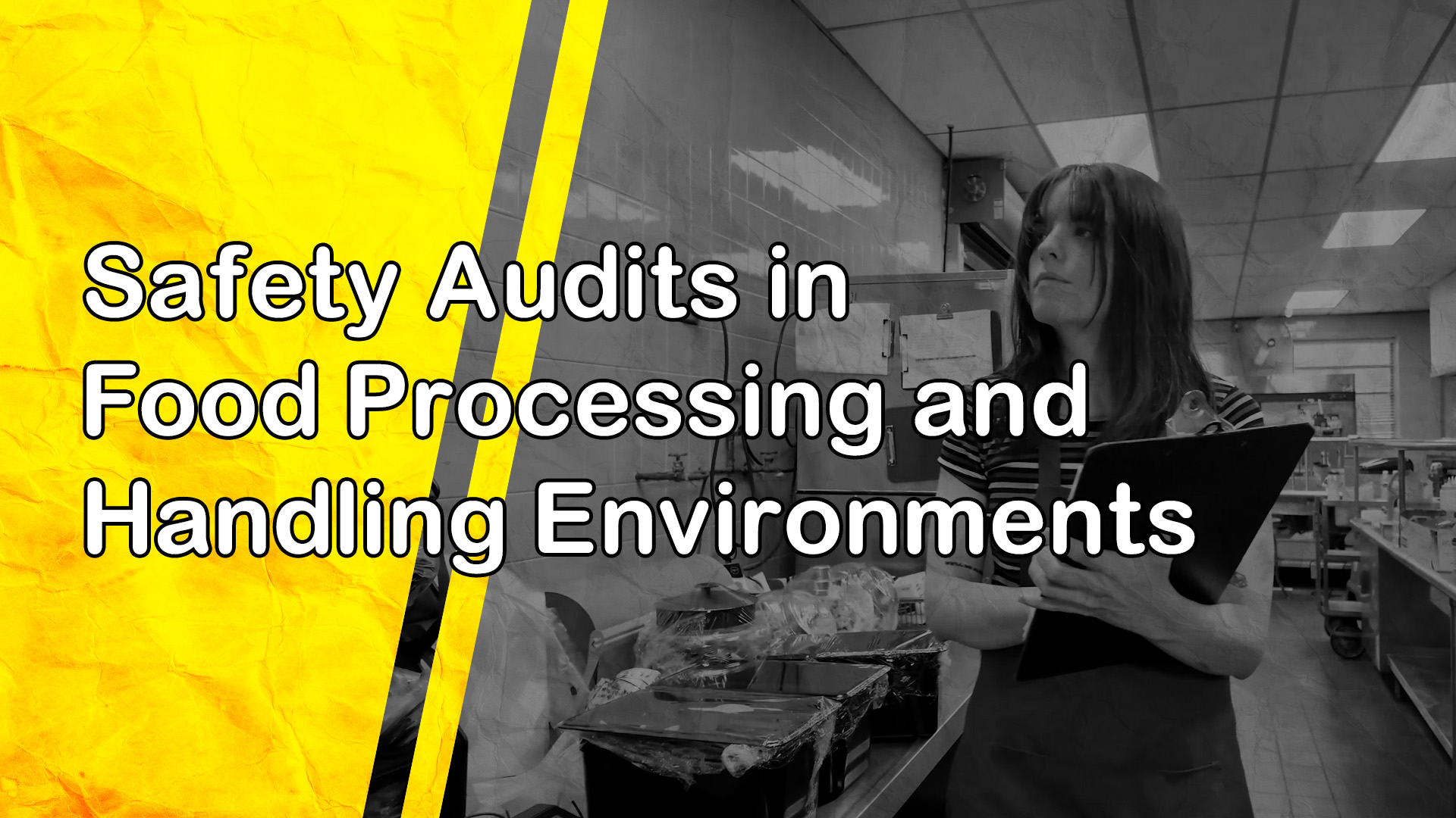 Safety Audits in Food Processing and Handling Environments
